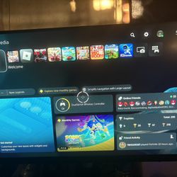 24 In Gaming Monitor 