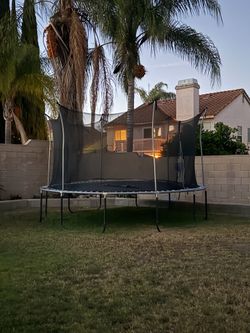 Trampoline