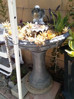 Fountain Plant Decor