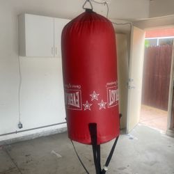 Punching Bag 