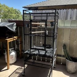 Bird Cage 