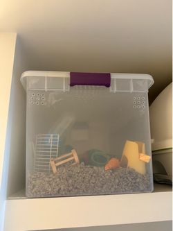 Makeshift hamster cage