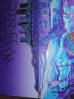 Super rare widespread panic signed numbered concert poster