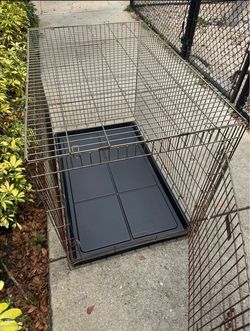 XL Folding Dog Crate