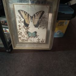 Designer Butterfly Wall Art