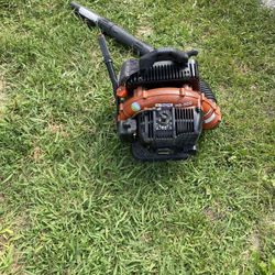 Echo Leafblower