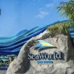 Sea World Tickets & Sesame Tickets 