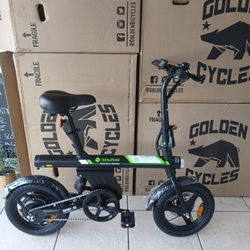 New U1 Folding Electric Bike 