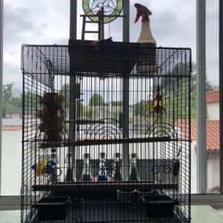 Bird Cage w/ Accessories 