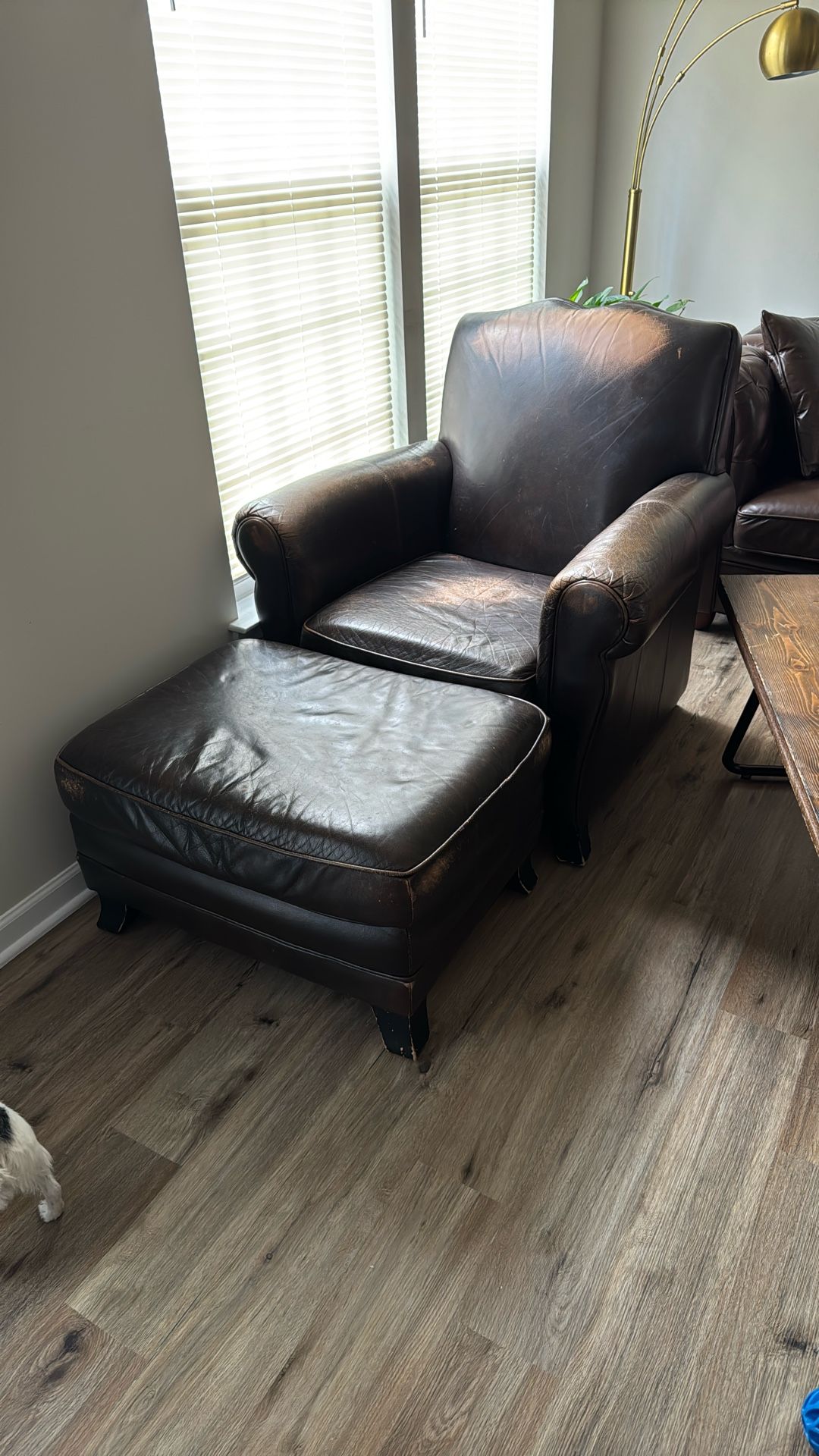 Leather Couch