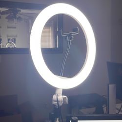 5ft Tripod Stand With Ring Light