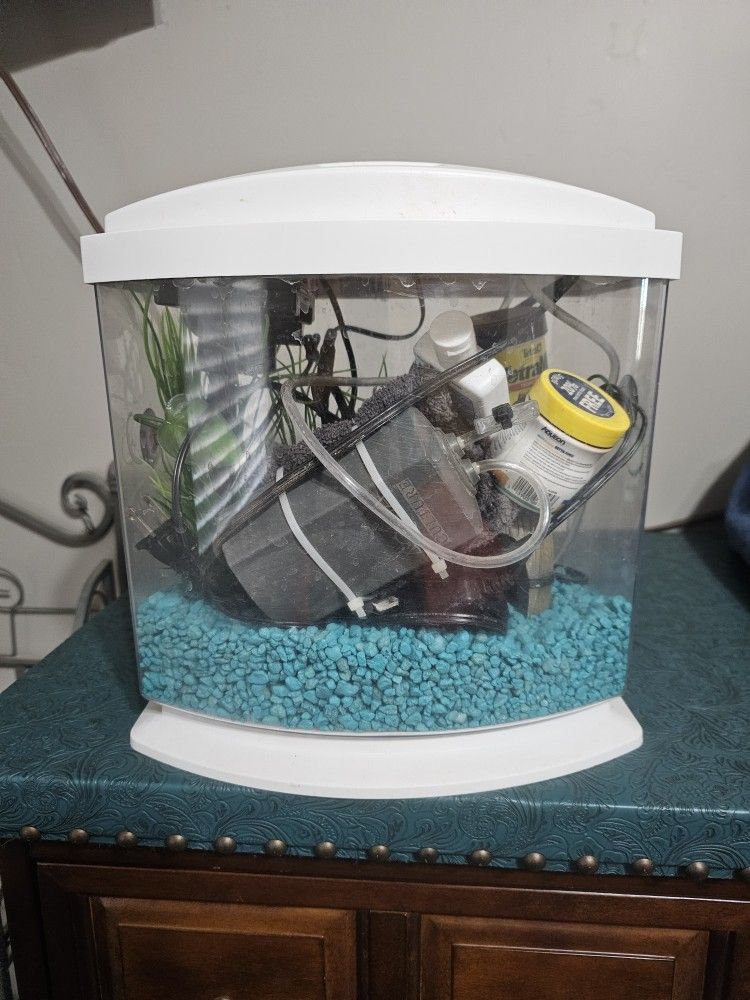 3 Gallon Fish Tank