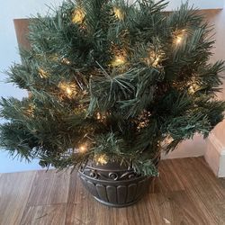 24” Pre-lit Topiary- 50 lts