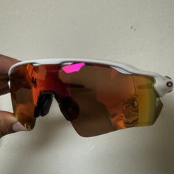 Oakley Sunglasses 