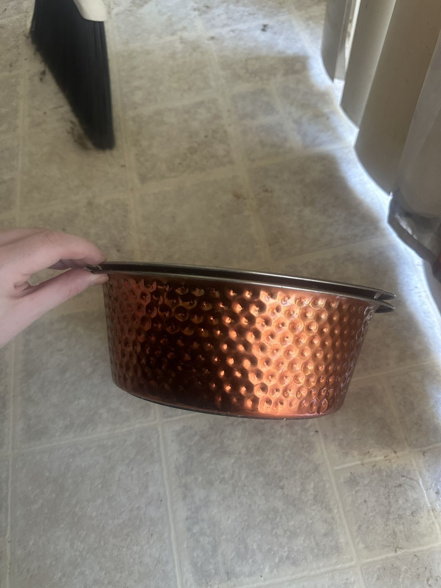 Dog Bowls