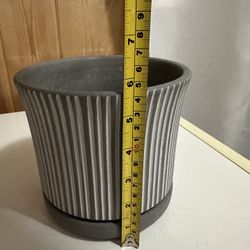 Plant Pot