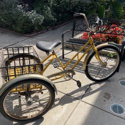 Worksman 3-Speed Trike with Basket