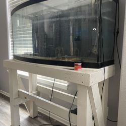 80 Gal Fish Tank