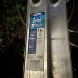 Werner 24 Ft Extension Ladder 