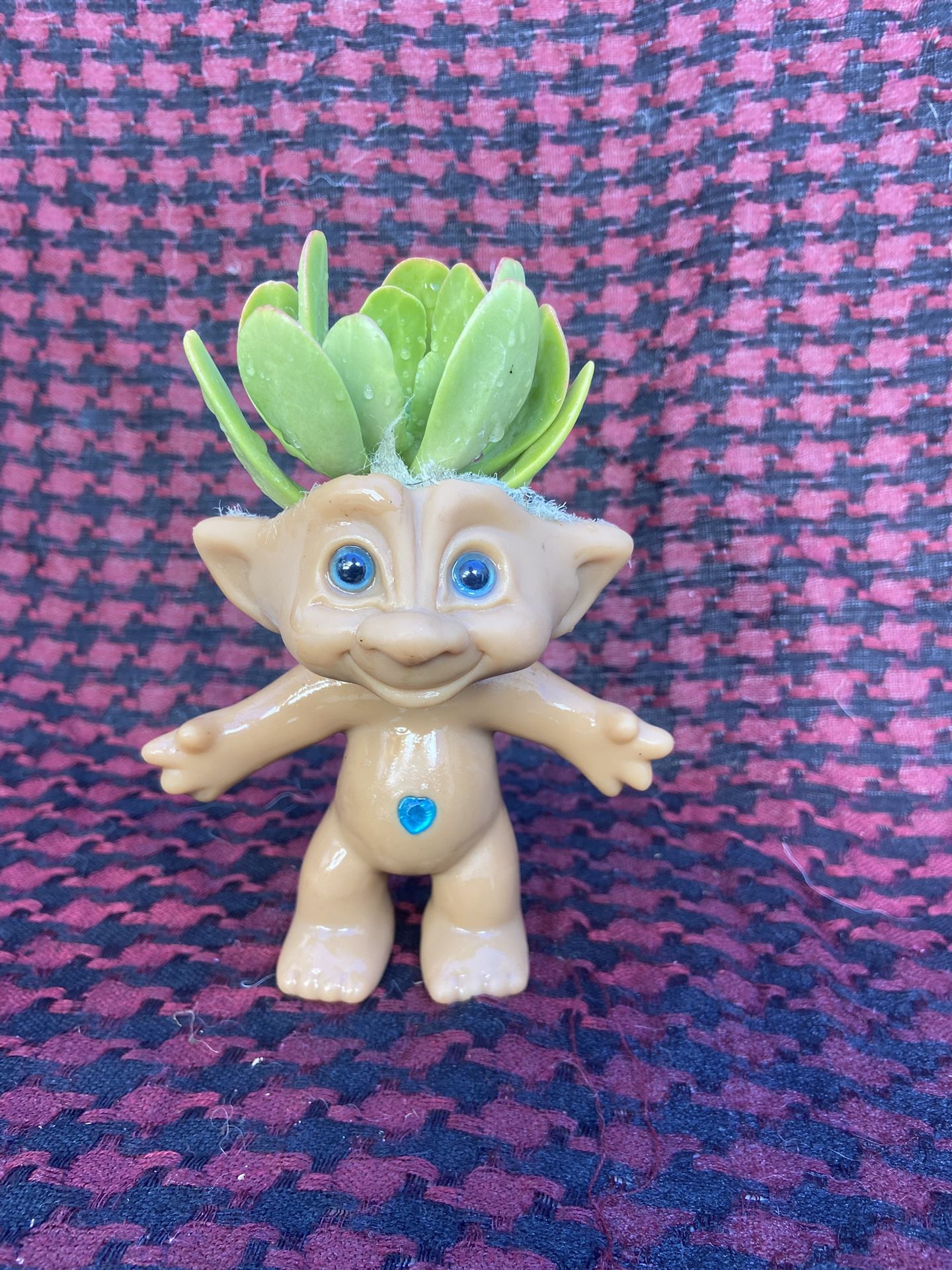 Garden Art Troll Doll Succulents