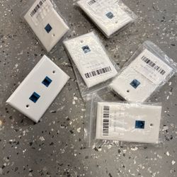 Cat 6 2 Port Female To Female Wall Plate