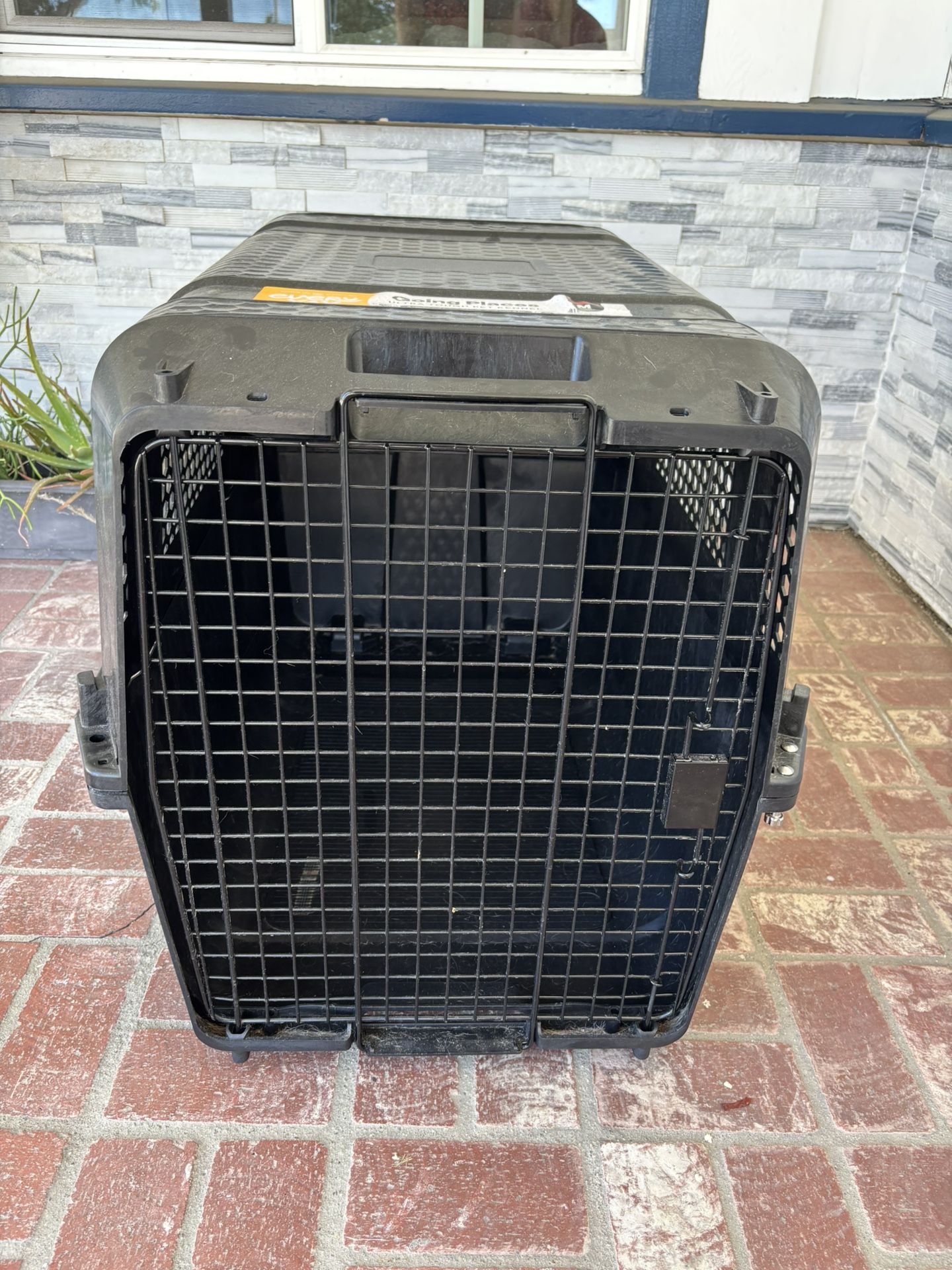 Black Dog Crate