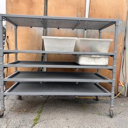 NEED GONE : FREEDOM BREEDER RACK