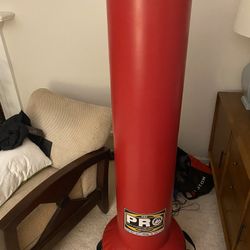 Free Standing Punching Kicking Bag