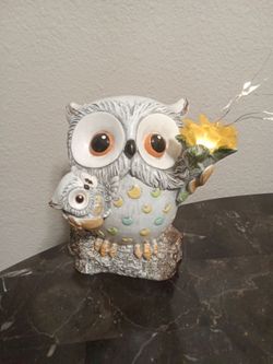 Owl light