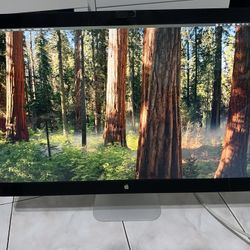Apple Thunderbolt Display (27-inch)