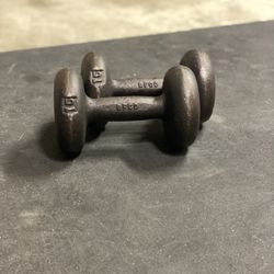 Steel BFCO 15lb Dumbbells 💪 