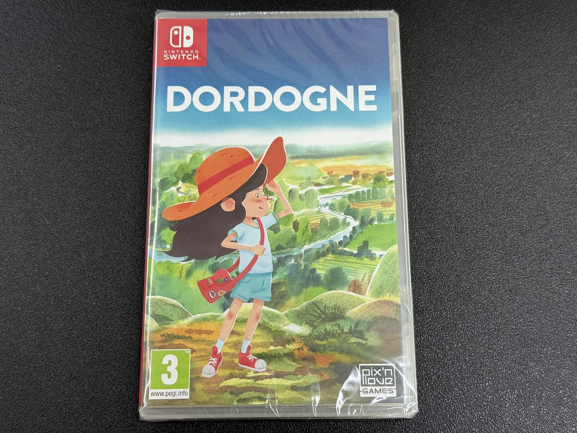 DORDOGNE Standard Edition NINTENDO SWITCH Game EU
