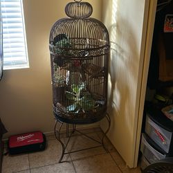 Antique Bird Cage
