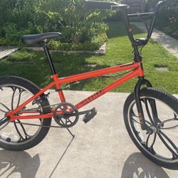 BMX  Legion,  adult  bike