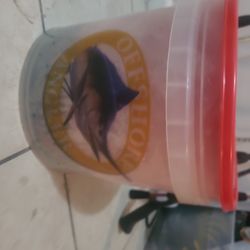 Fishing Poles And Casting Net