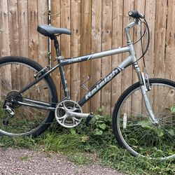 Raleigh SC40 hybrid