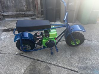 Doodle bug mini bike