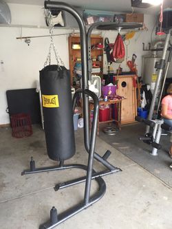 Everlast heavy bag with speed bag