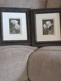 Variety of art prints