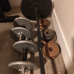 Weight Bench And Weights 