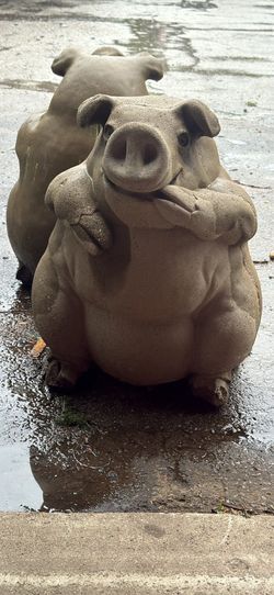 Concrete pigs not used