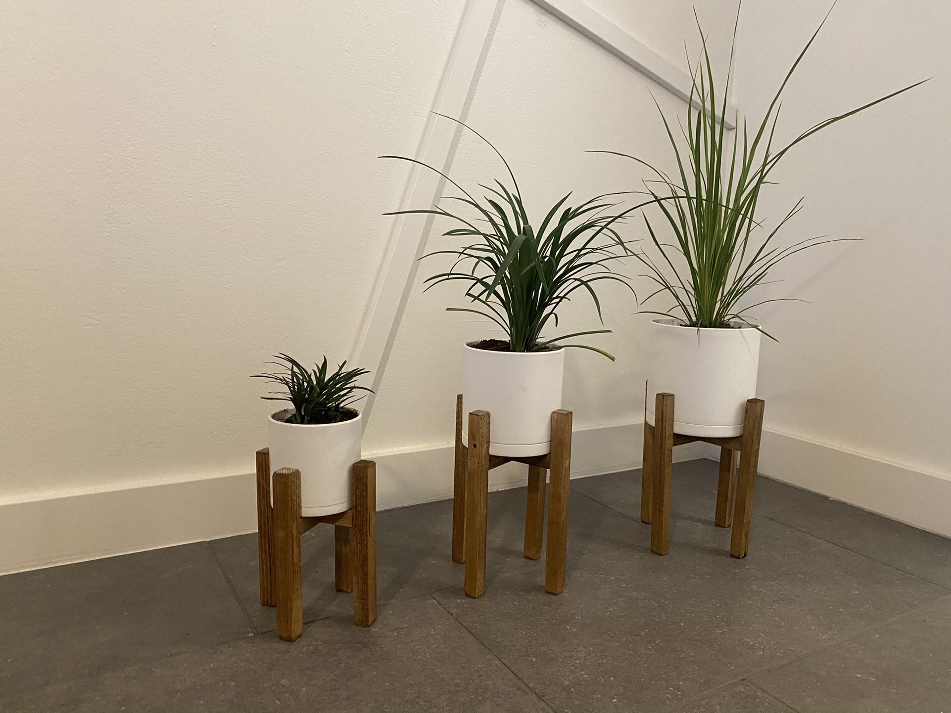 House Plants Planters and Stands Set Of 3