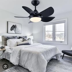 Fans & Outlets