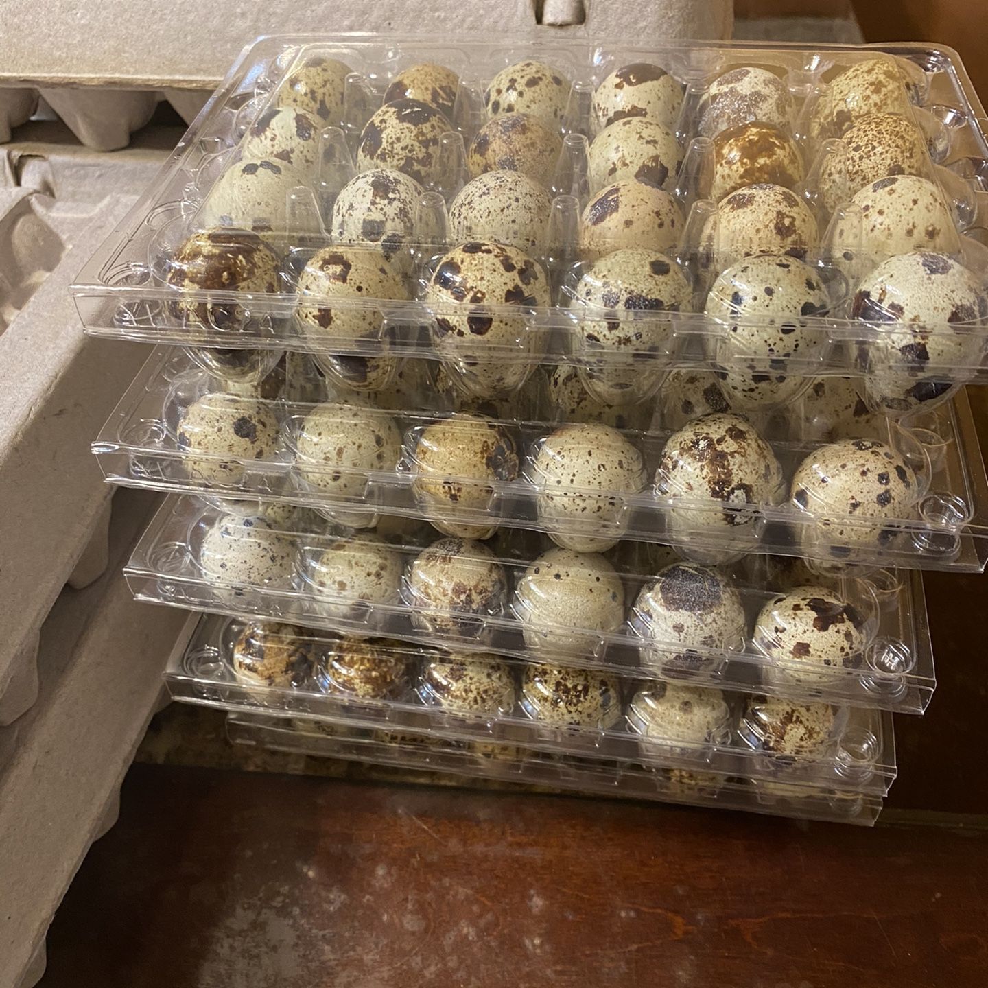 Huevos Organicos De Rancho De Godorniz Y Gallina