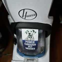Hoover Rug Cleaner