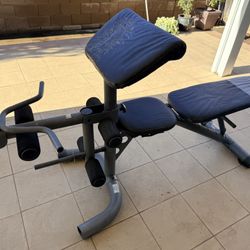 Gold’s Gym Workout Bench