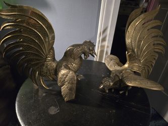 Fighting Cocks