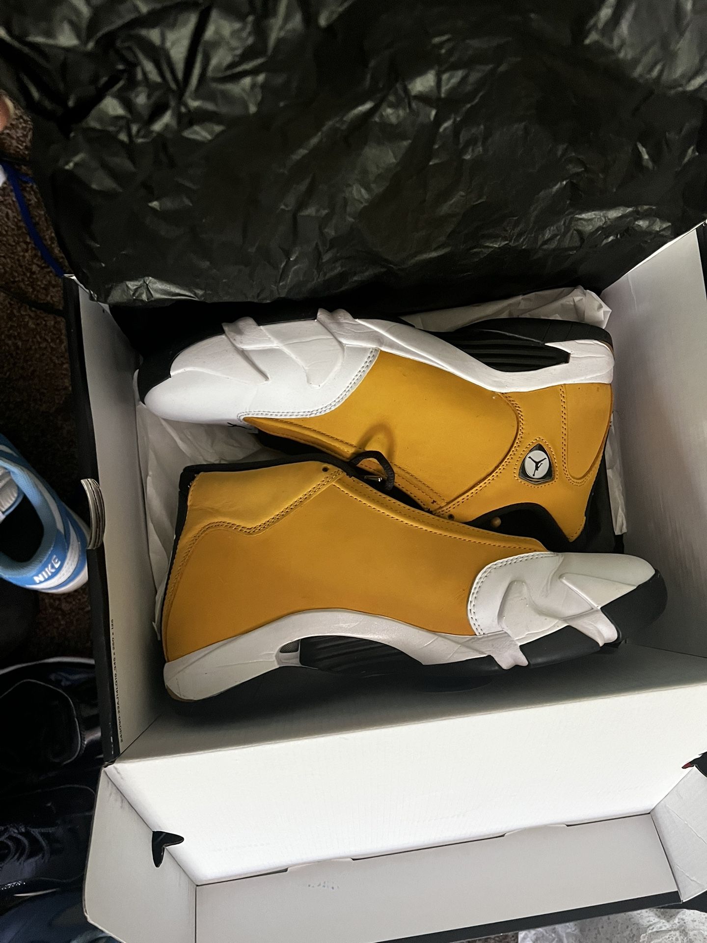 Jordan 14