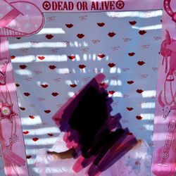 Wanted Cowgirl Photo prop 