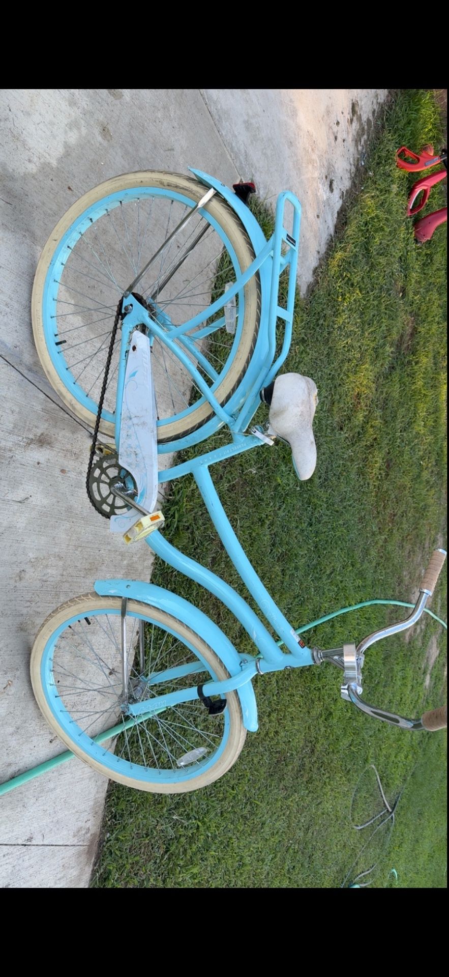 Blue Adult Bike